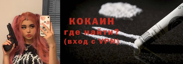 сатива Елабуга
