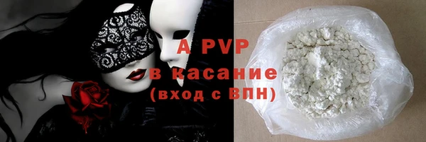 сатива Елабуга