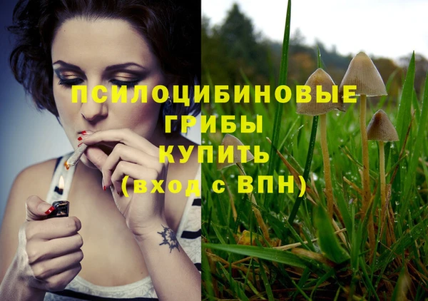 сатива Елабуга