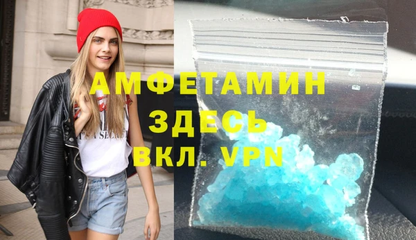 сатива Елабуга