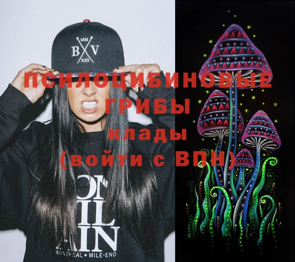 герыч Ельня
