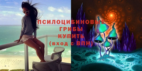 герыч Ельня