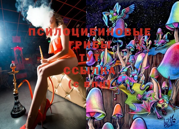 герыч Елизово