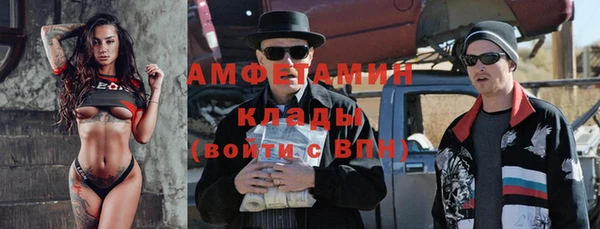 сатива Елабуга