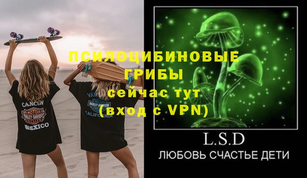 сатива Елабуга